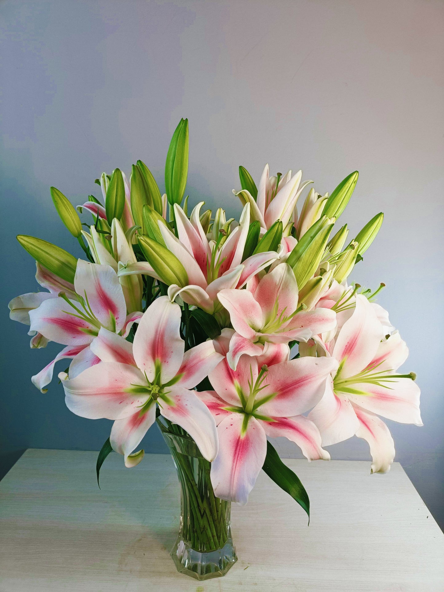 Oriental Lily ( 10 Stems)