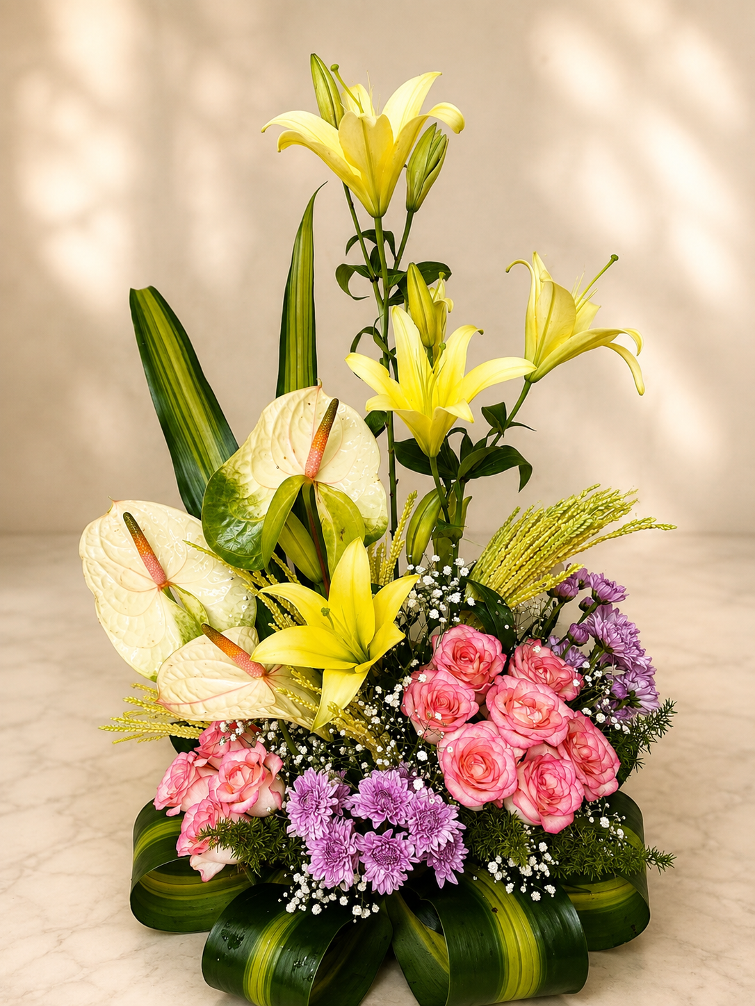 Anthurium Rose Grace