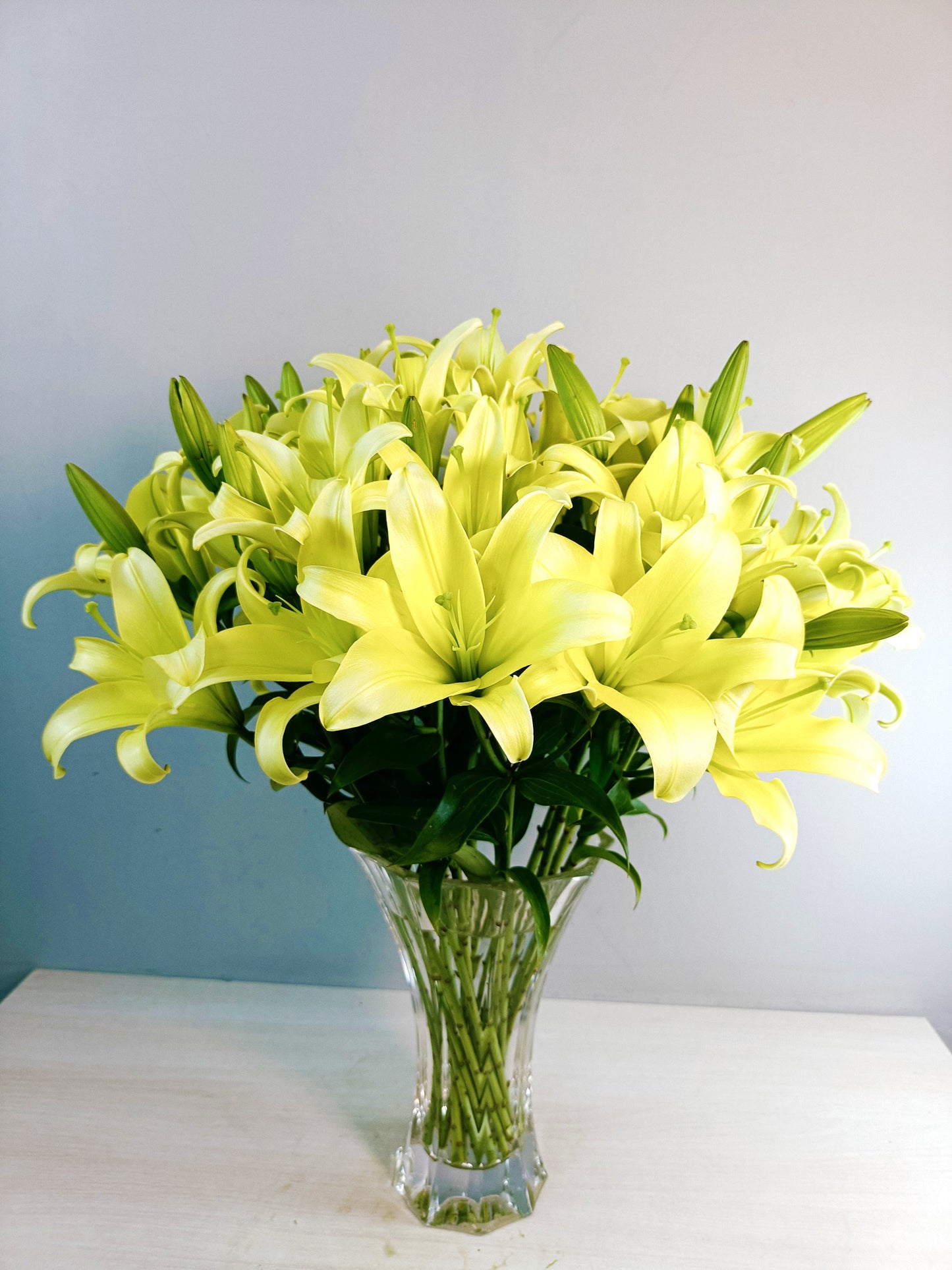 Oriental Lily ( 10 Stems)