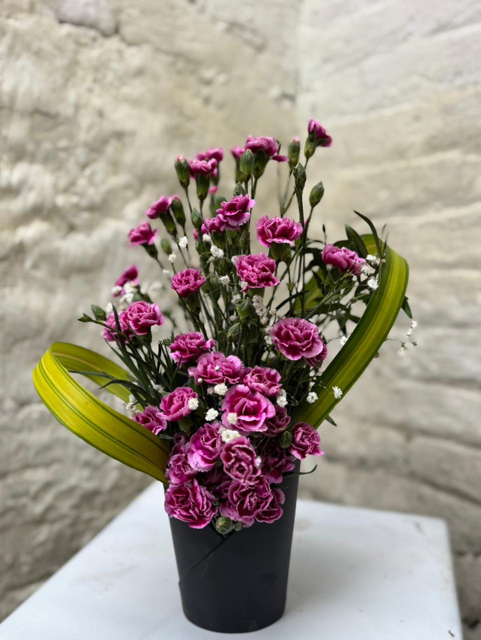 Blush of Love Carnation Arrangement