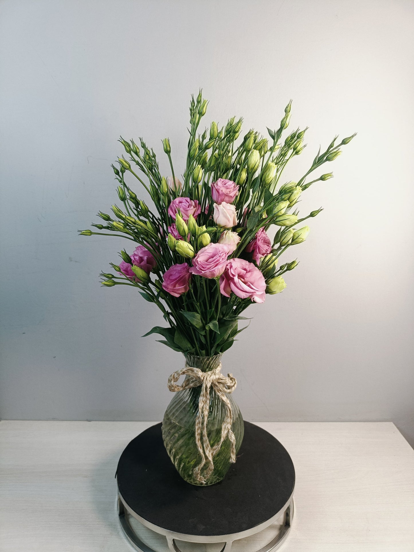 Astoma (10 Stems)