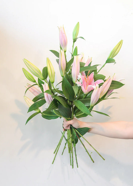 Pink Oriental Lily Bunch (10 Stems)
