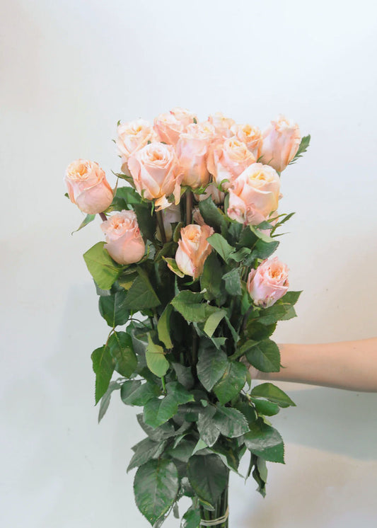 Peach Rose Bunch (30 Stems)