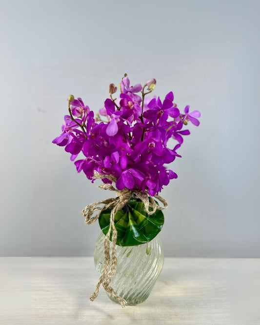 Mokara Orchid (10 Stems)