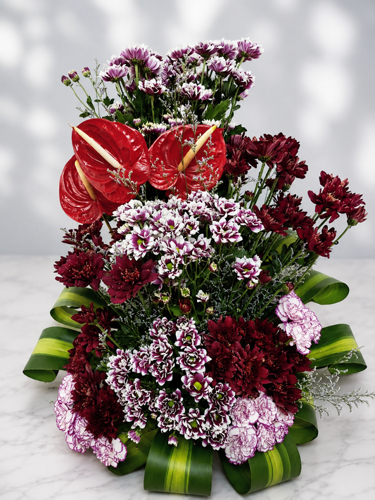 Ruby Anthurium Bloom