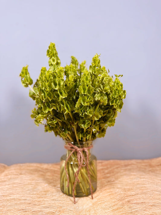 Verdant Whisper