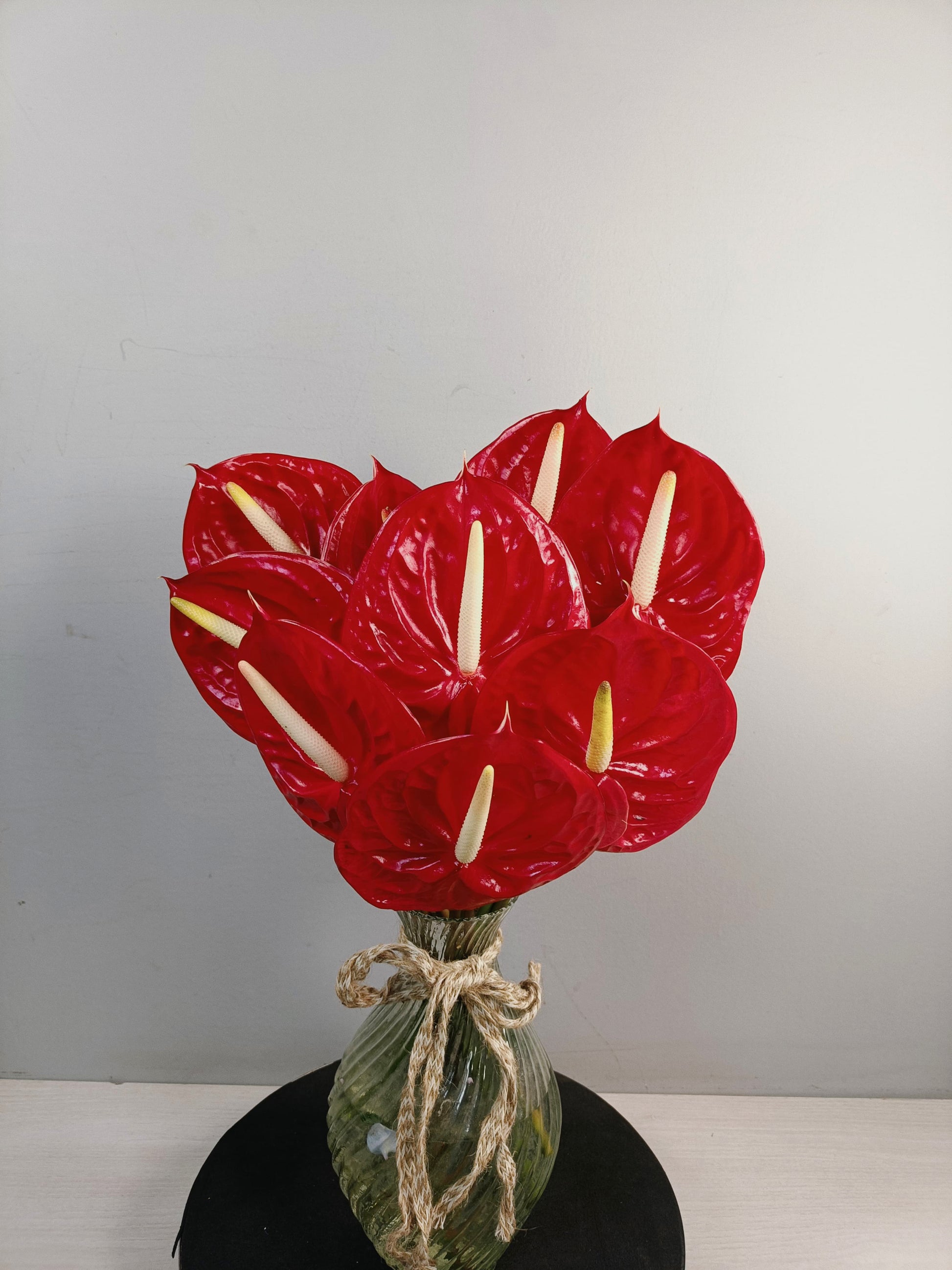 anthurium 15 Red Anthurium (15 Stems) – WhiteFields