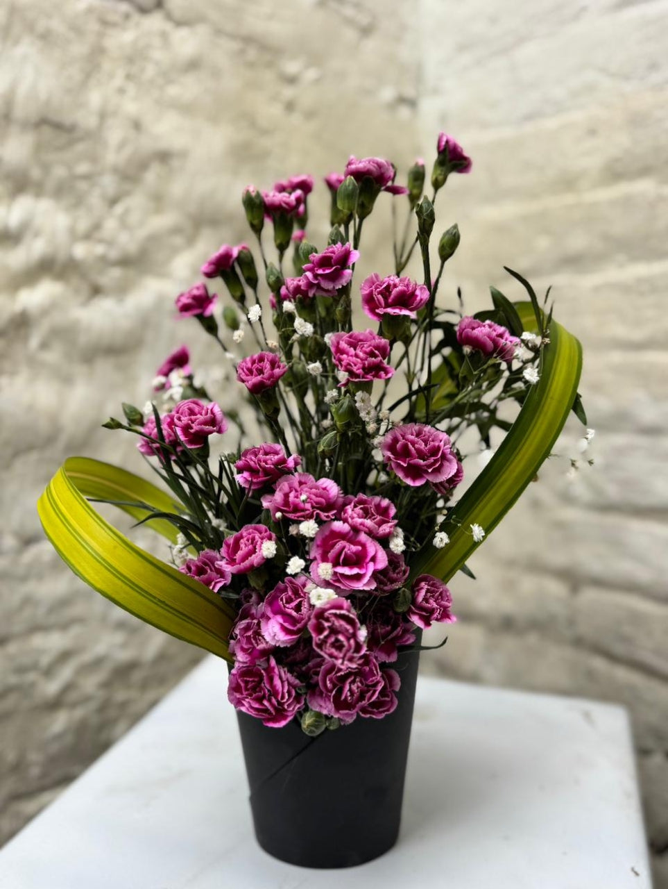 Blush of Love Carnation Arrangement