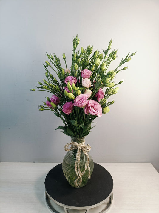 Astoma (10 Stems)
