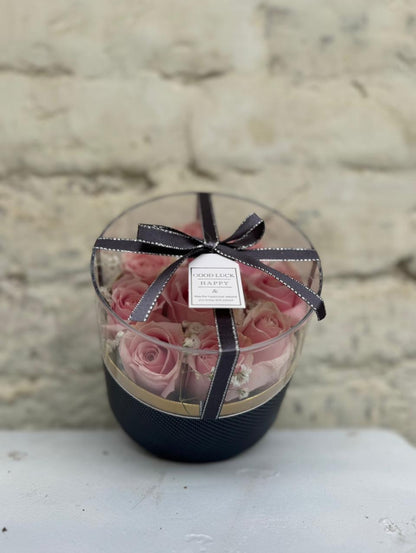 Pink Whisper Rose Dome