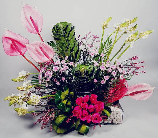 Spring Muse
