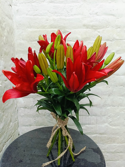 Mehroon Lilly (10 Stems)