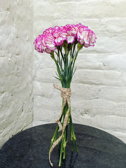 Carnation Double Set (20 Stems)
