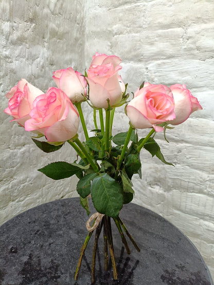 Jumelia Rose (20 Stems)