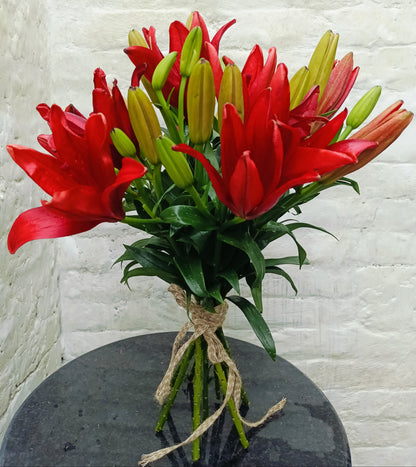 Mehroon Lilly (10 Stems)