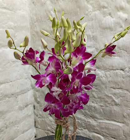 Soniya Orchid (20 Stems)